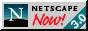 Download Netscape Now button on Attention Deficit Hyperactivity Disorder ( ADD / ADHD ) links page with hundreds of categorized links.