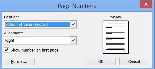 Word 2003 Insert Page Numbers Dialog