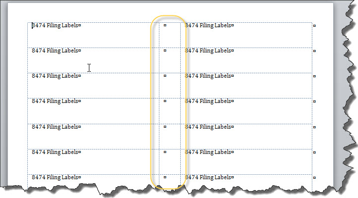 word label templates 2007