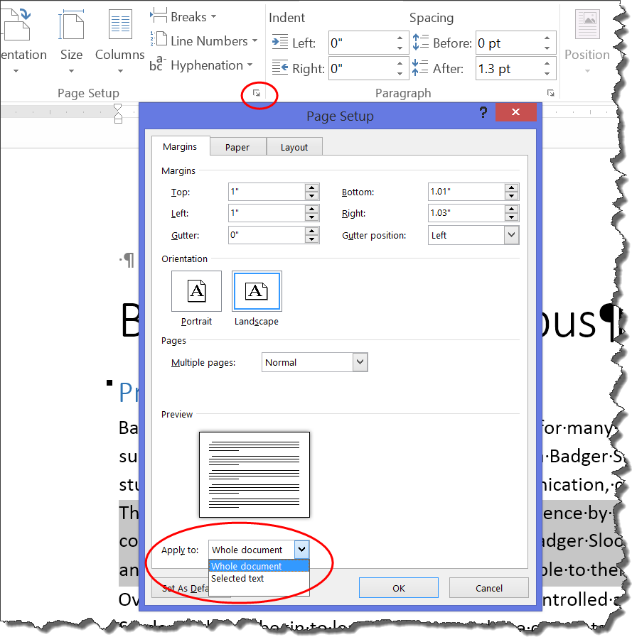 how to change layout of one page in word to print layout