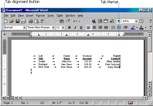 Basic Microsoft Word