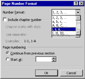 Page Number Format dialog