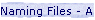 Naming Files - A System is the Key