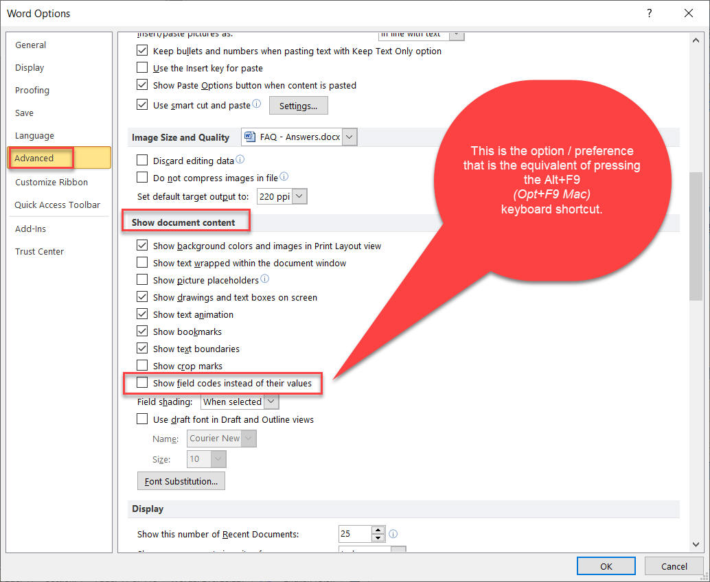 Word Options dialog for Field Code display preferences